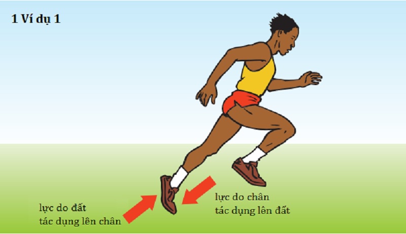 Các dạng bài tập và ví dụ về định luật 1 Newton