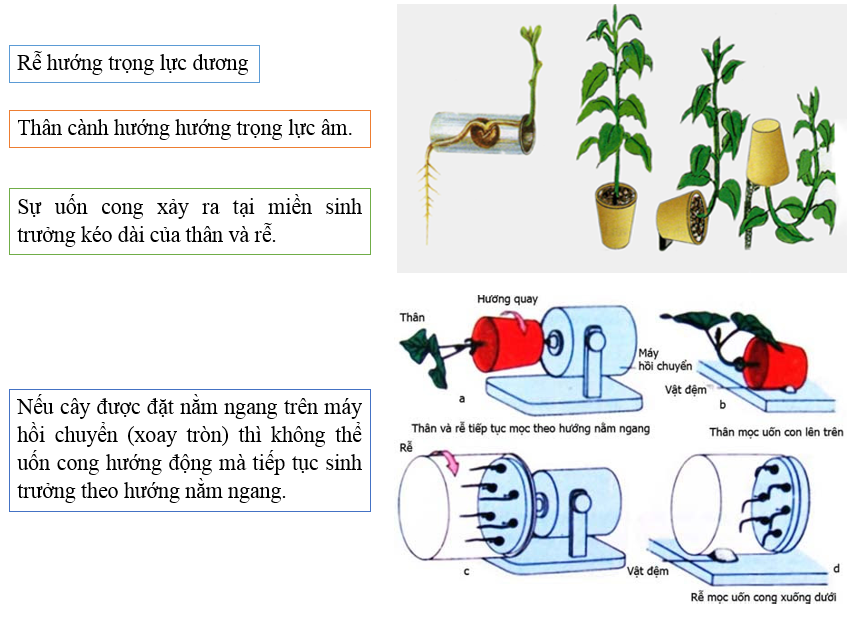 Các yếu tố ảnh hưởng đến công của trọng lực trong chuyển động