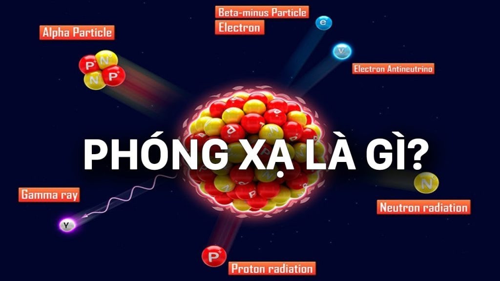 Các yếu tố quan trọng trong phương trình phóng xạ