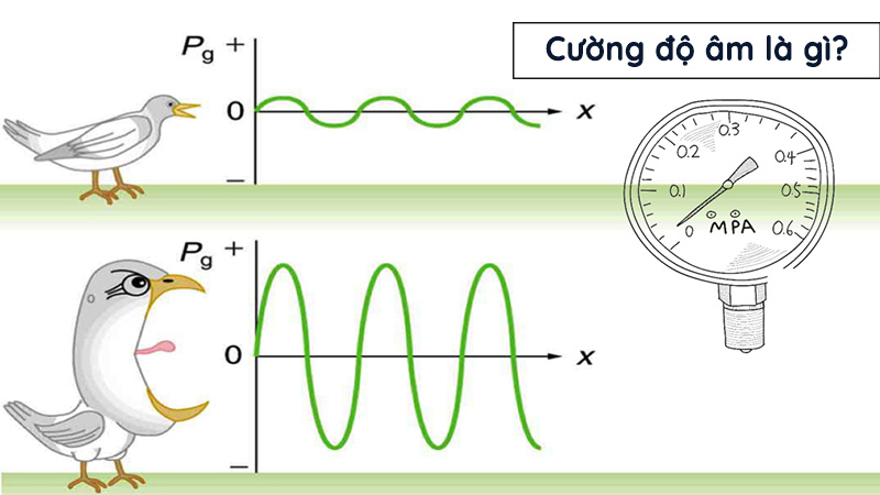 Cường độ âm và các đơn vị đo lường cơ bản