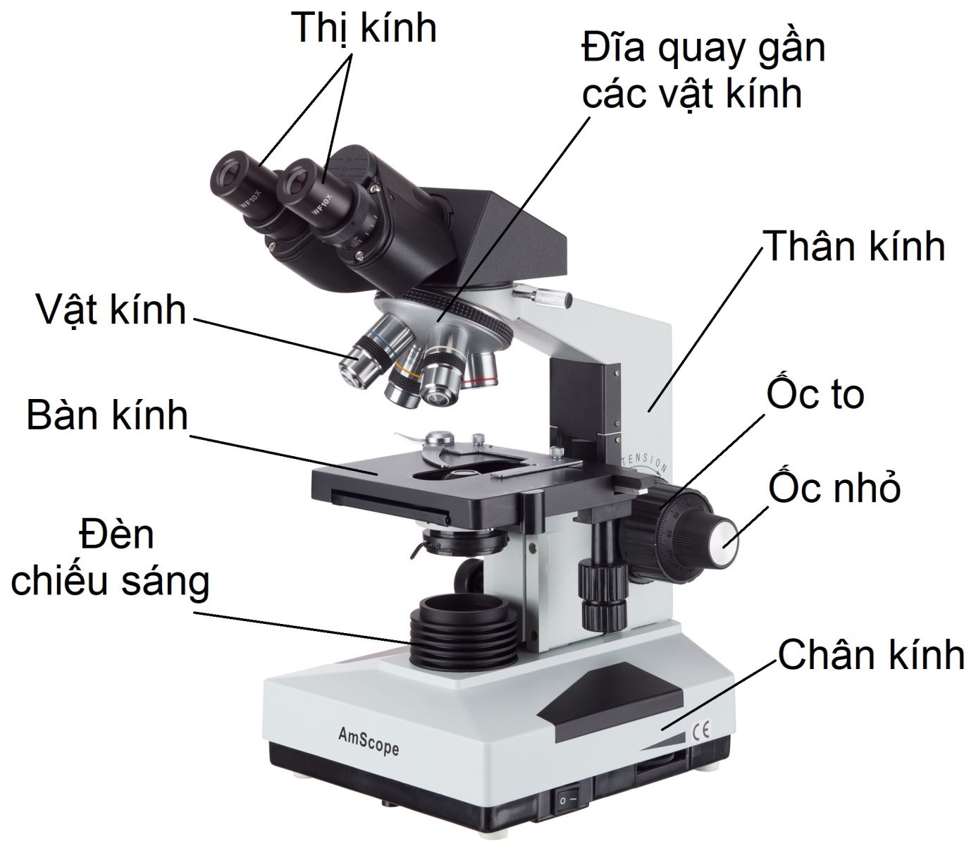 So sánh độ phóng đại của các loại kính hiển vi