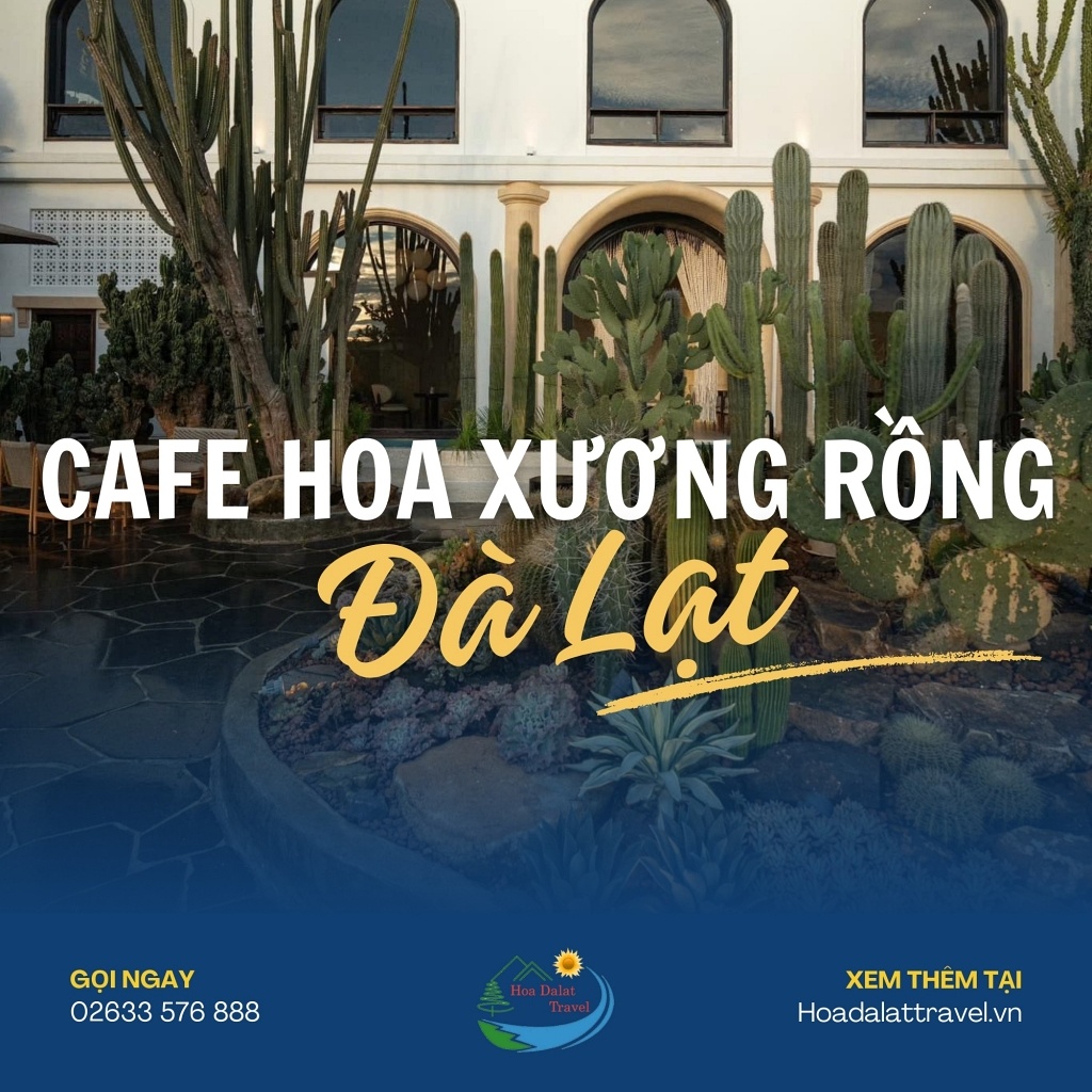 Top 5: Cafe Hoa Xương Rồng Đà Lạt