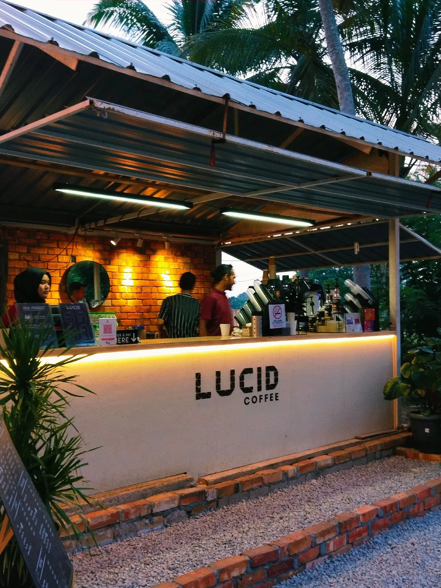 Top 6: Lucid Coffee