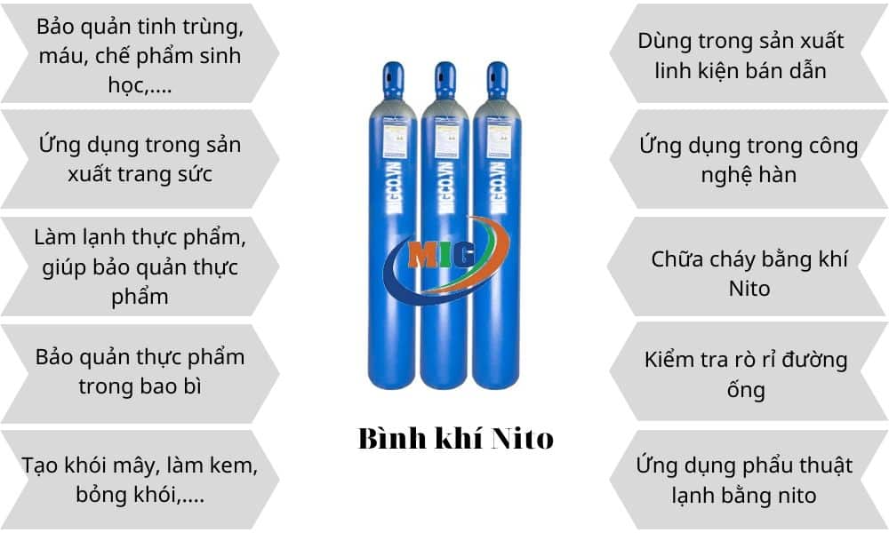 Các dạng tồn tại và ứng dụng của nitơ trong tự nhiên