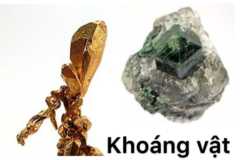 Các khoáng vật phổ biến trong đá và công thức hóa học