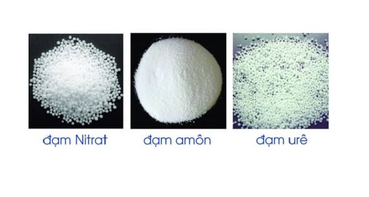 Các loại phân đạm phổ biến và công thức hóa học