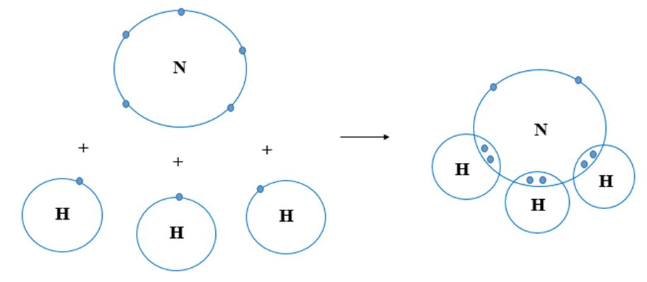 Cấu tạo phân tử NH3 và các liên kết hóa học