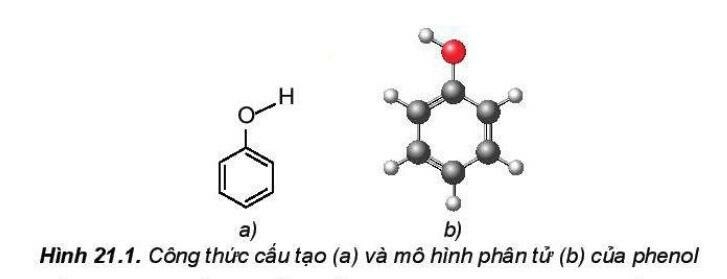 Cấu tạo phân tử và đặc điểm hóa học của phenol