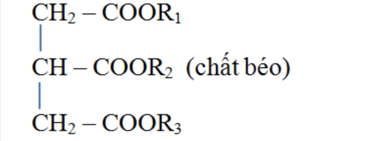 Cấu tạo và đặc điểm phân tử của tripanmitin