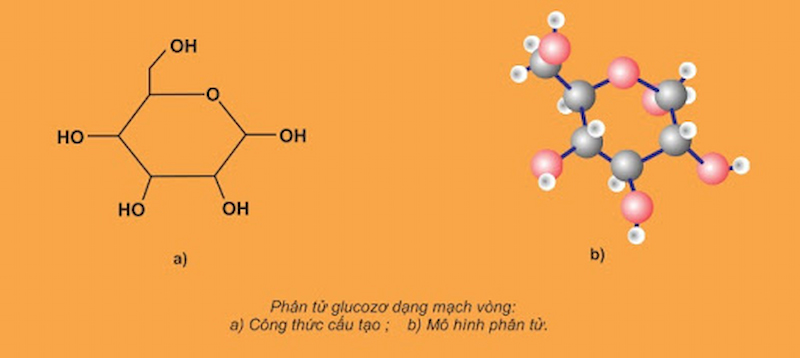 Cấu tạo và đặc điểm phân tử glucose trong tự nhiên