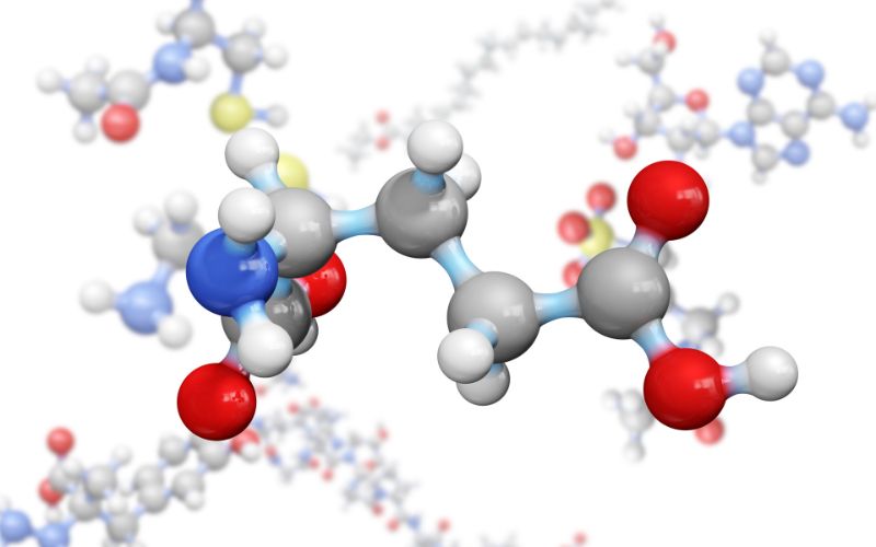 Cấu trúc và đặc điểm hóa học của axit glutamic