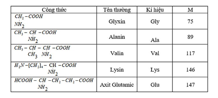 Công thức amino axit