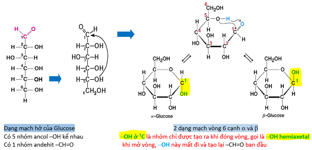 Công thức hóa học của đường glucose