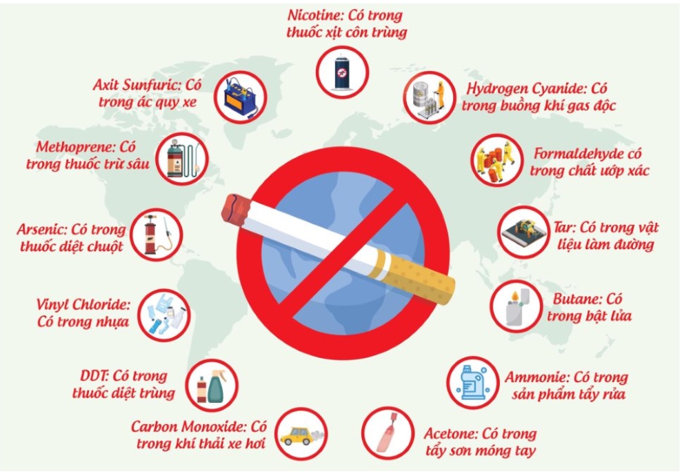 Nicotine - Chất gây nghiện chính trong thuốc lá