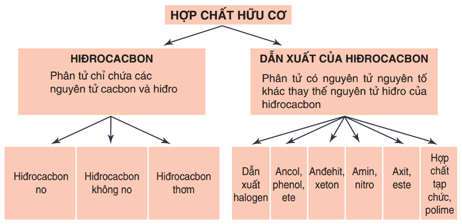 Phân biệt tinh bột với các hợp chất hữu cơ khác