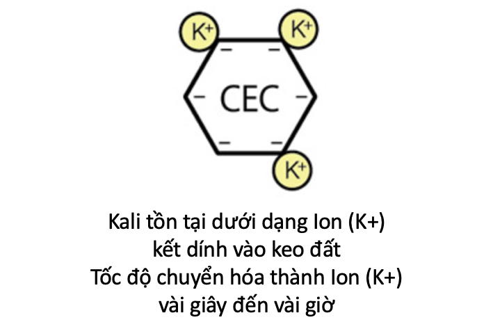 Phân kali công thức và thành phần hóa học