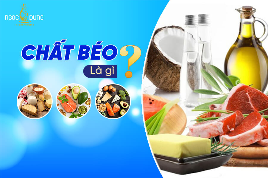 Phân loại và đặc điểm các loại chất béo