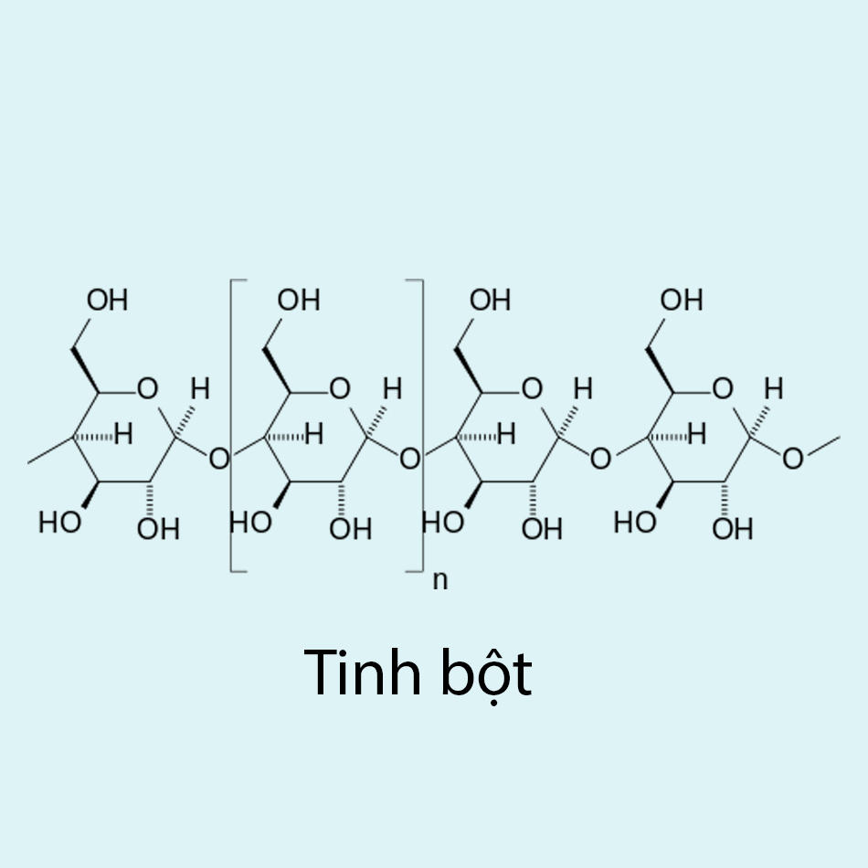 Phân tích cấu trúc phân tử của cơm ở cấp độ vi mô