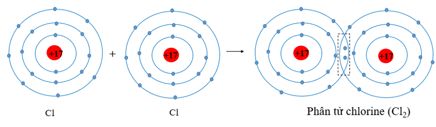 Phân tử Cl2 và các phản ứng hóa học quan trọng