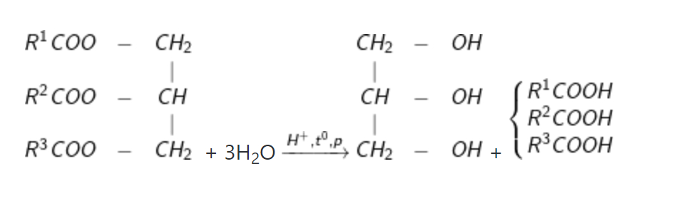 Phản ứng hóa học của triglixerit