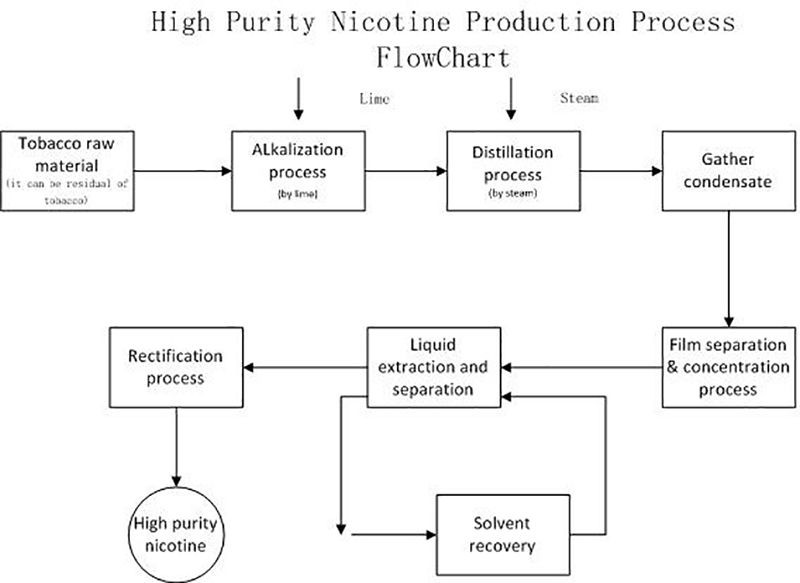 Phương pháp tổng hợp và chiết xuất nicotine