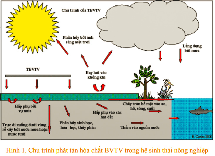 Sự tồn tại và lan truyền của dioxin trong môi trường