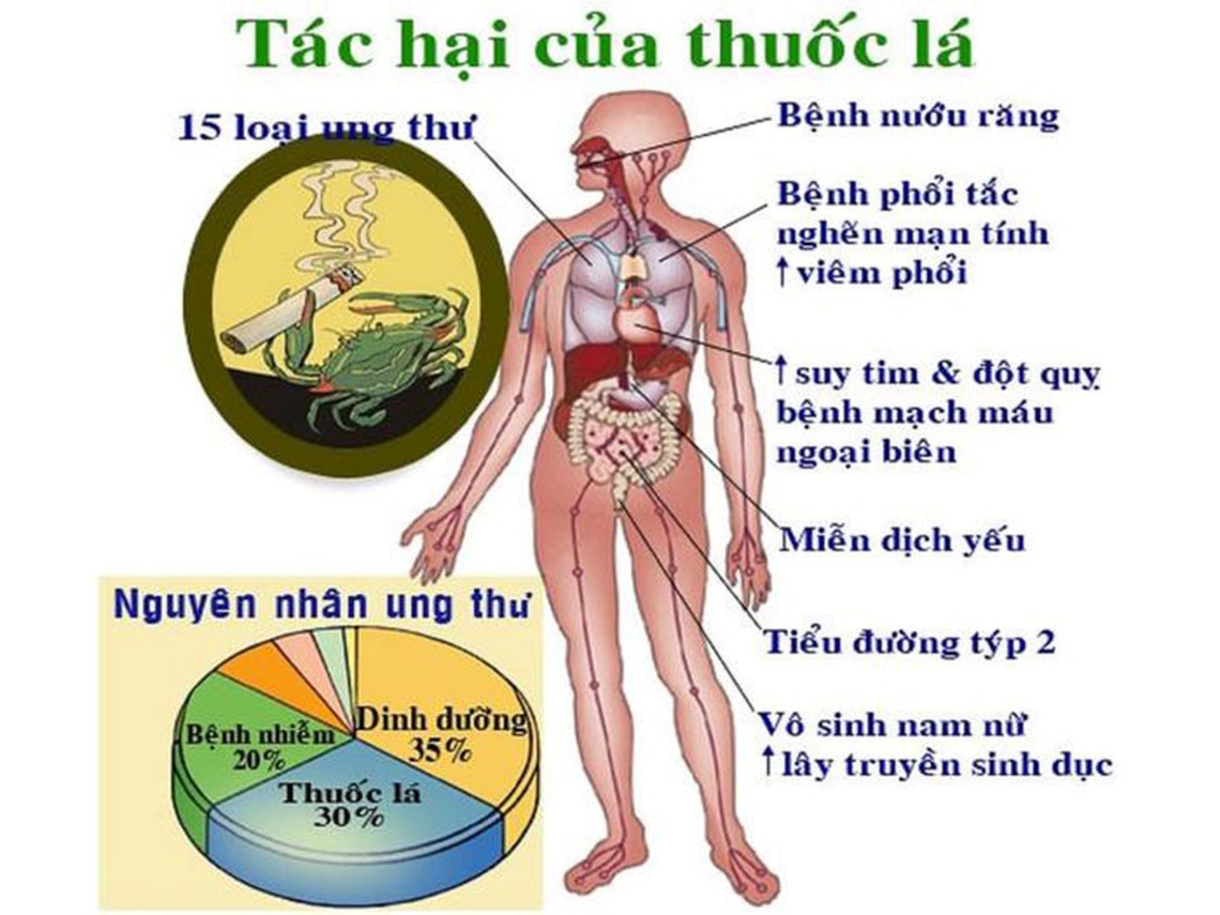 Tác động của nicotine đến cơ thể con người