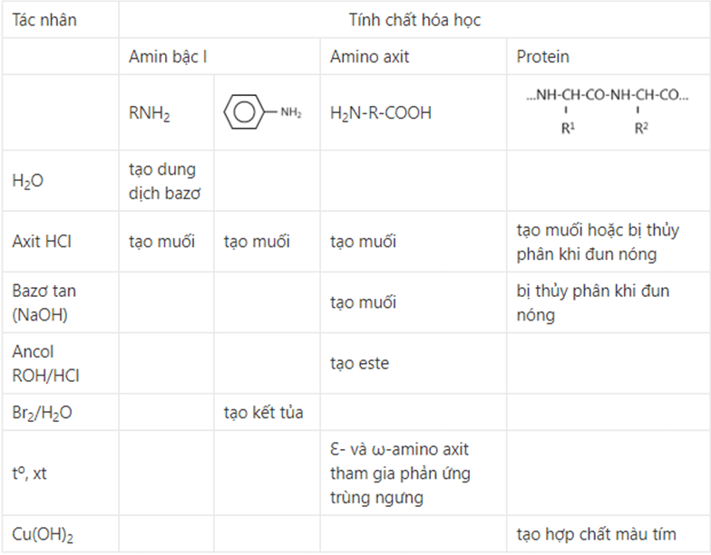 Tính chất hóa học đặc trưng của amin