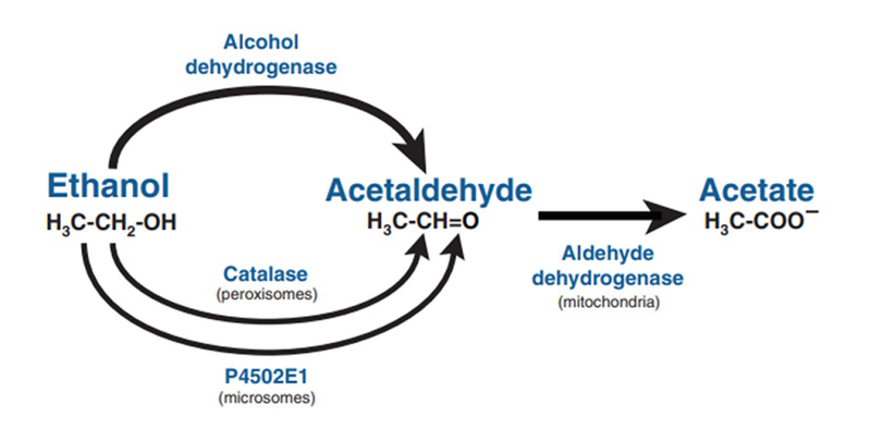 Tính chất và phản ứng hóa học của acetaldehyde