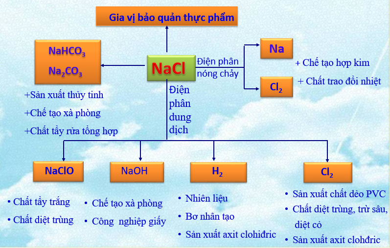 Tính chất vật lý và hóa học của natri clorua