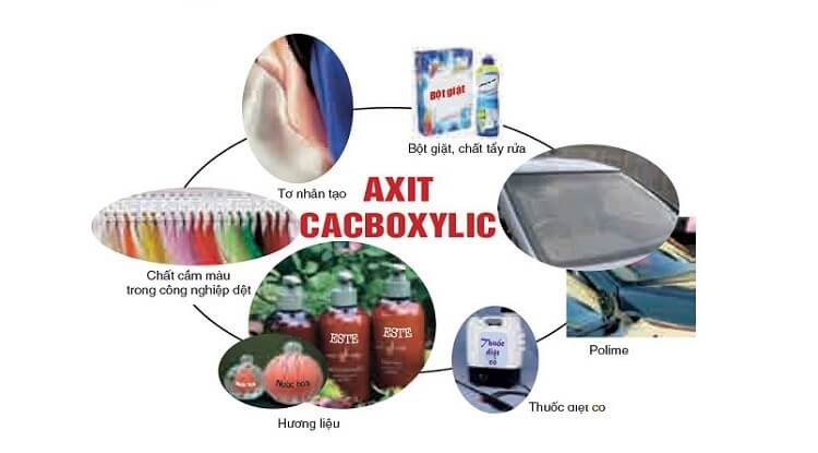 Ứng dụng và vai trò của axit cacboxylic