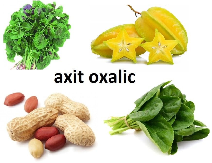 Ứng dụng và vai trò của axit oxalic trong đời sống