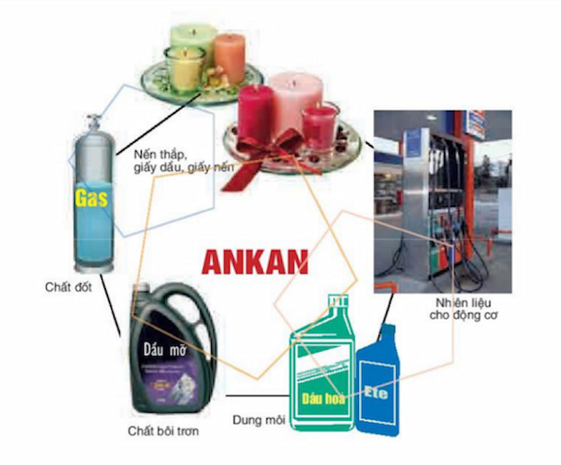 Ứng dụng và ví dụ về ankađien trong thực tế