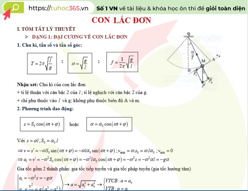 Các thành phần cơ bản của con lắc đơn